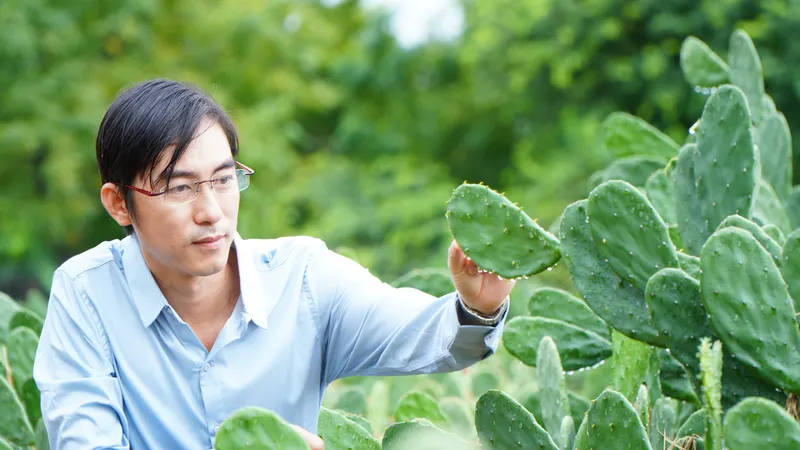 Người con làng cát và giấc mơ chinh phục cây xương rồng
