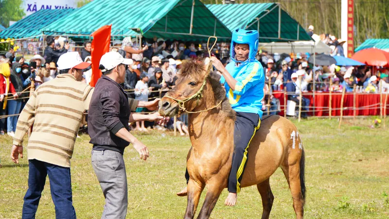 Cười "thả ga" trong ngày đầu năm mới với Hội đua ngựa Gò Thì Thùng 