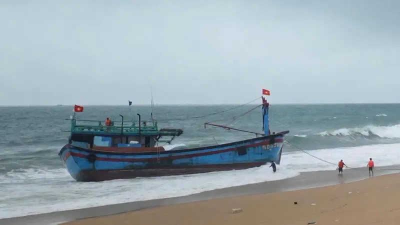 Cứu 11 ngư dân tỉnh Bình Định gặp nạn trên biển