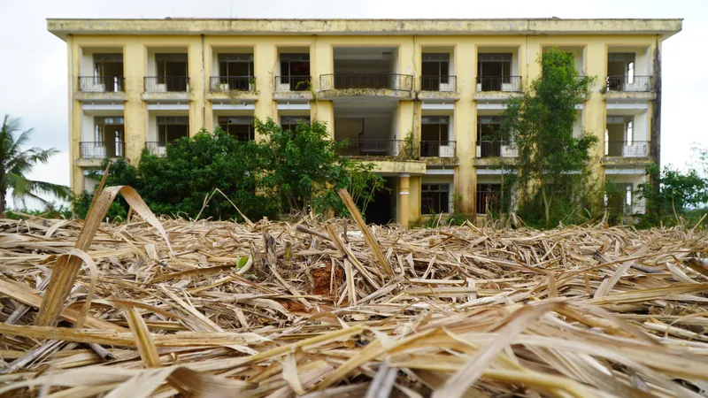 Xót xa khu nội trú cho học sinh, giáo viên bỏ hoang, trở thành ruộng mía
