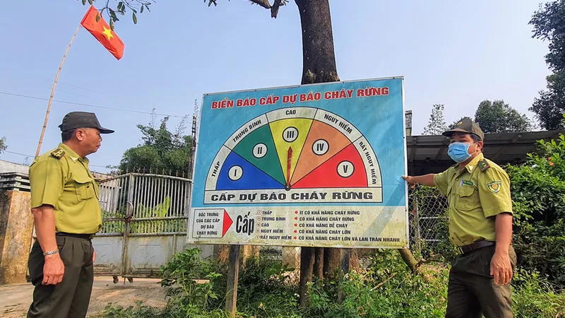 Kiểm lâm Phú Yên gặp nhiều khó khăn vì chưa có con dấu mới