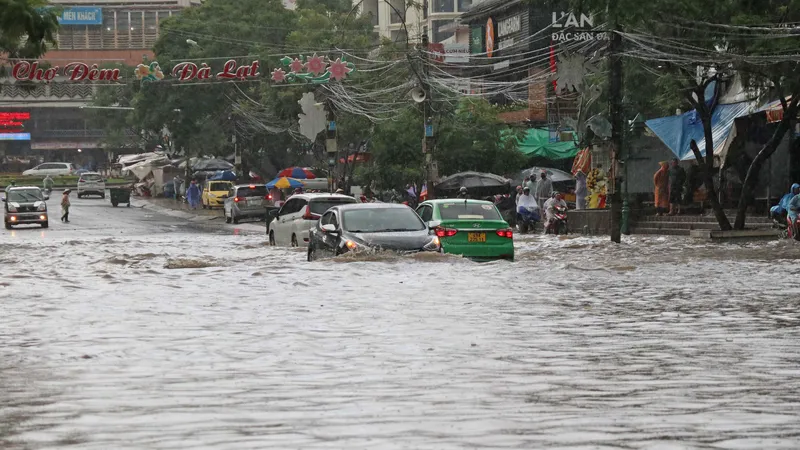 Trước khi xảy ra nạn phá rừng, nhà kính nở rộ, Đà Lạt đã bị lũ ống