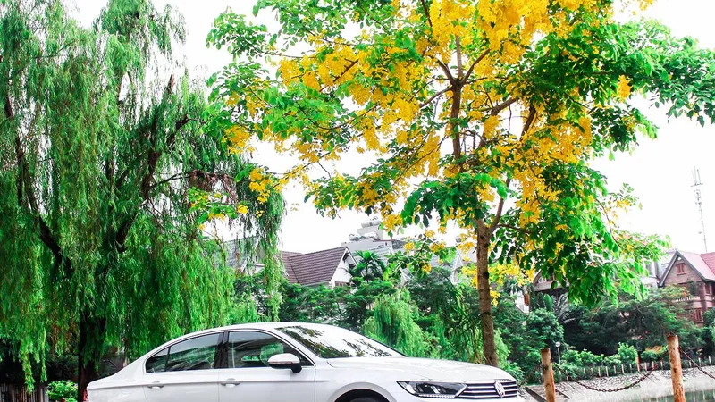 Volkswagen tăng trưởng mạnh 6 tháng đầu năm 2018