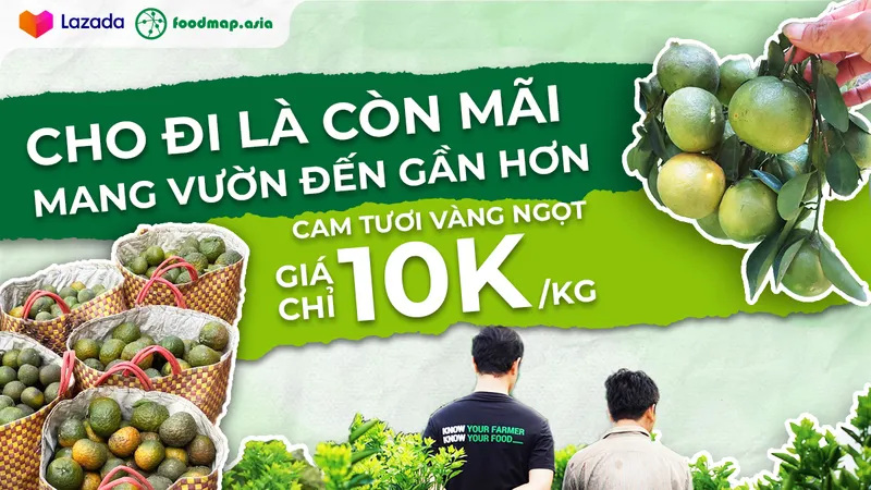 Cam sành miền Tây lên Lazada với giá 10.000 đồng/kg