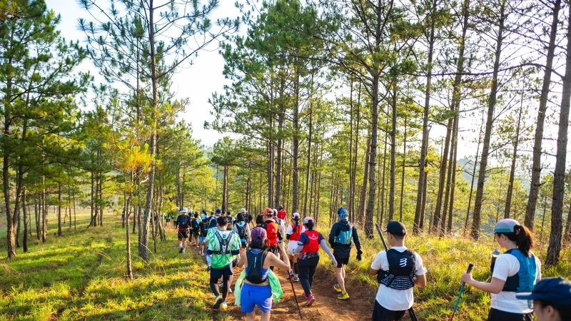  Giải chạy địa hình thường niên Dalat Ultra Trail