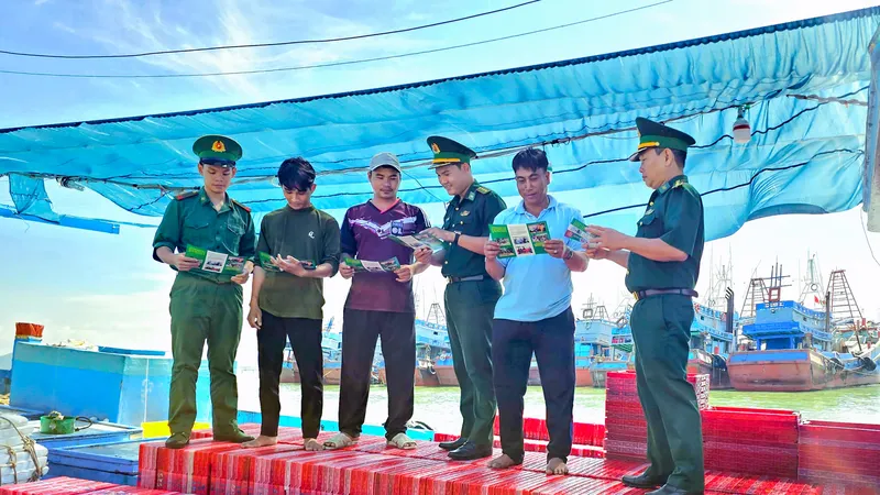 TPHCM: Xử lý dứt điểm 100% tàu cá vi phạm IUU trong đợt cao điểm