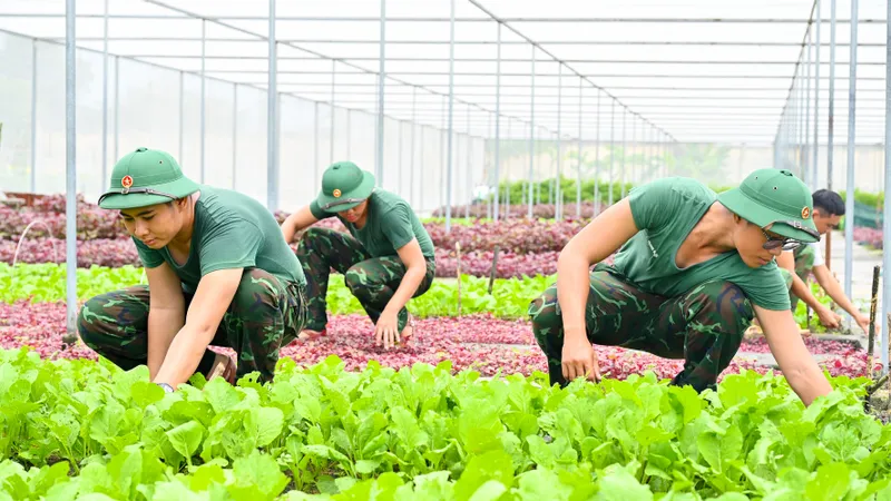 Chiến sĩ mới trưởng thành, vững vàng sau 2 tháng huấn luyện