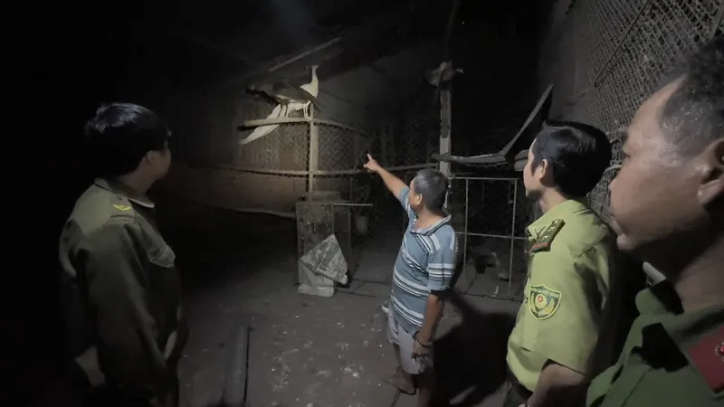 TPHCM: Khởi tố vụ án nuôi nhốt trái phép động vật hoang dã