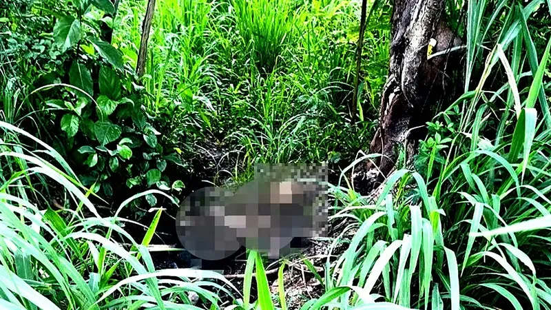 Điều tra vụ phát hiện bộ xương người trong khu đô thị ở TPHCM