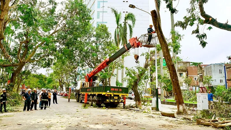 Hỗ trợ Hà Nội, Hải Phòng khắc phục hậu quả bão số 3