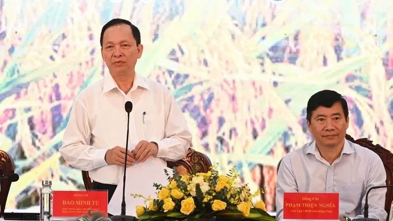 Triển khai tín dụng ưu đãi trong thực hiện Đề án 1 triệu ha lúa chất lượng cao
