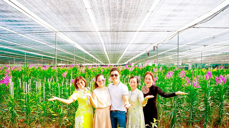 Nông nghiệp đô thị: Hiệu quả ứng dụng công nghệ cao, gắn kết du lịch
