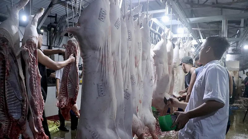 Đồng bằng sông Cửu Long: Siết chặt hoạt động giết mổ gia súc, gia cầm