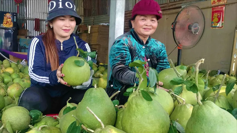 Làng bưởi Tân Triều vào mùa lễ hội