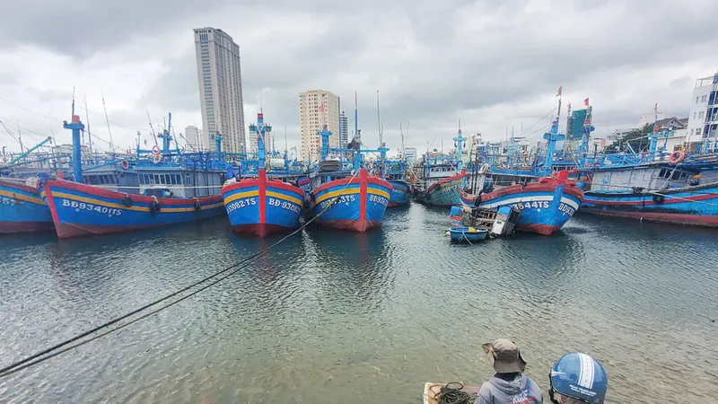 Thận trọng dời vùng neo đậu của ngư dân ở Quy Nhơn