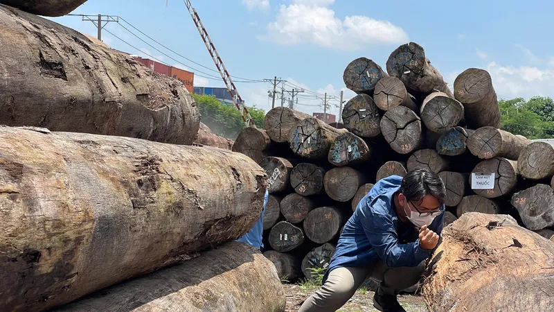 Ngành xuất khẩu gỗ: Xoay xở trong “thương chiến”