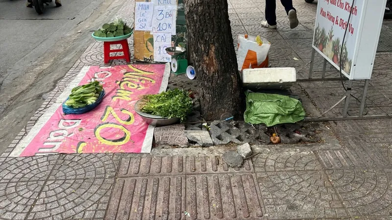 Lối đi người khiếm thị... đâm vào cây xanh, cột điện