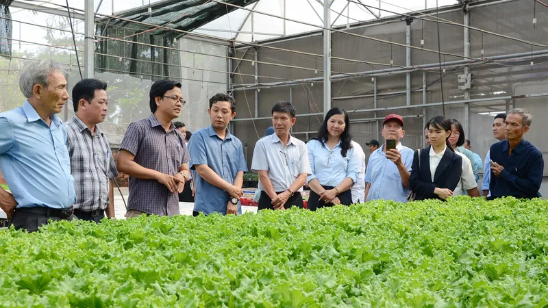 Người dân TPHCM làm giàu từ nông nghiệp