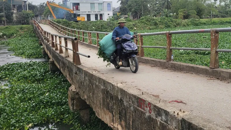 Nơm nớp qua cầu…