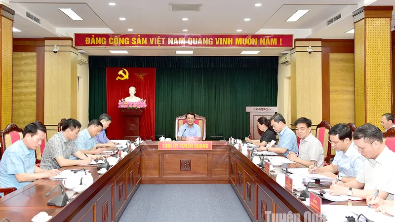 Các đại biểu dự họp