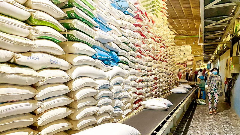 Nỗ lực mở rộng thị trường xuất khẩu gạo