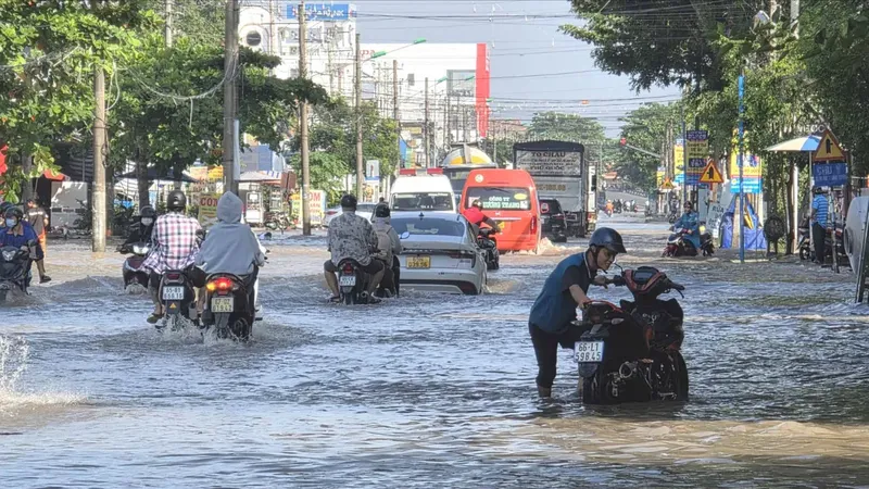 ĐBSCL cấp tập ứng phó với đỉnh lũ