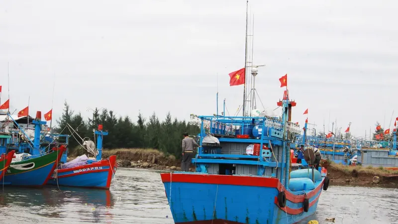 Kiểm kê và định danh toàn bộ tàu cá để quản lý