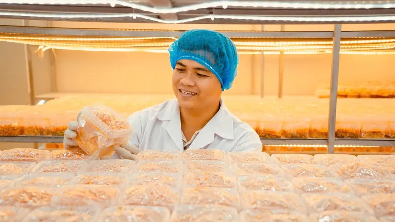 Sức trẻ thắp lửa sáng tạo