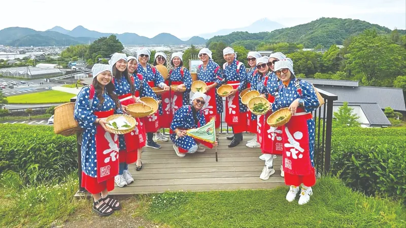 Nhộn nhịp đường tour cuối năm