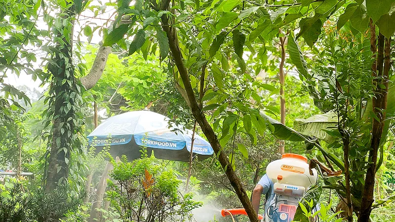 Thách thức kiểm soát và phòng ngừa sốt xuất huyết