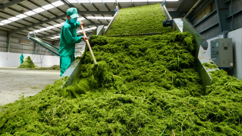 Hôm nay 22-12, tôn vinh Doanh nghiệp Xanh TPHCM năm 2025