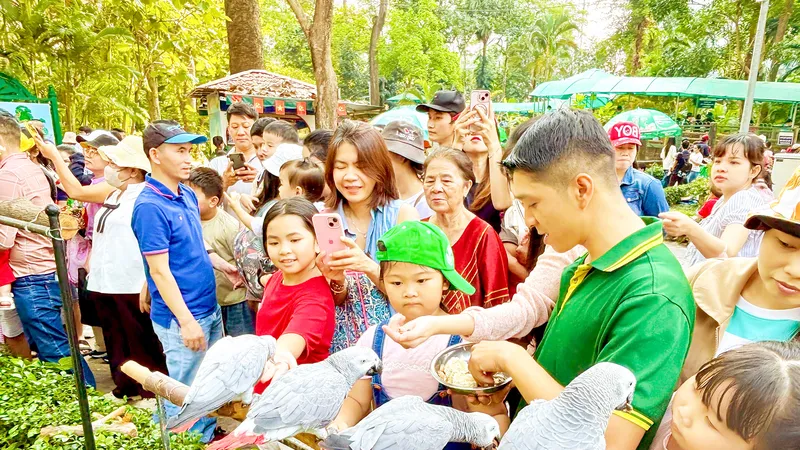 Rộn ràng du lịch đầu năm mới