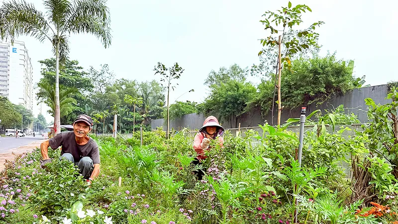 Những khu phố ngập sắc hoa