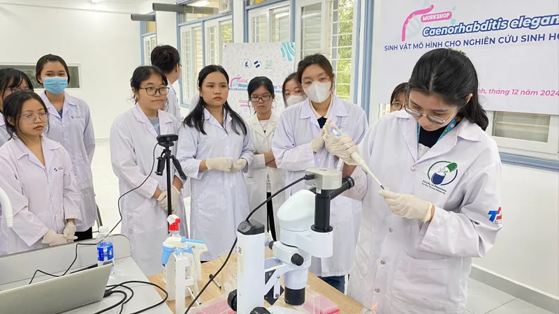 Đột phá đào tạo nhân lực công nghệ chiến lược - Bài 2: Nhận diện những rào cản