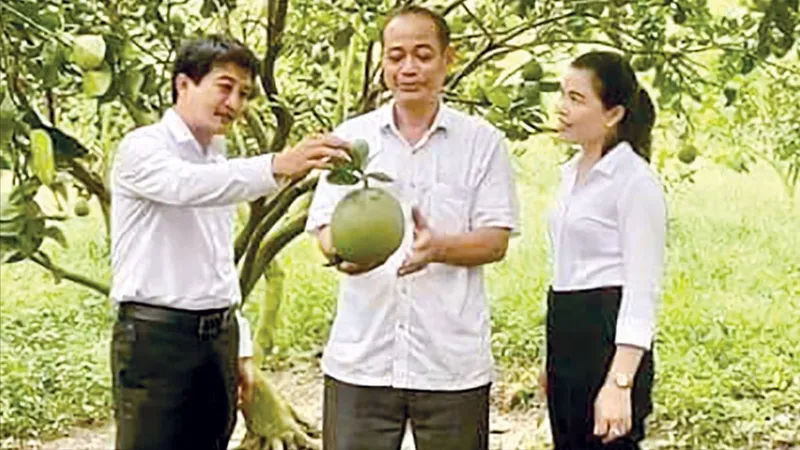 Làm giàu từ đất