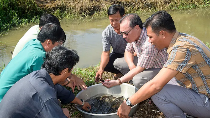 Đồng bằng sông Cửu Long: Ngăn chặn khai thác thủy sản kiểu tận diệt