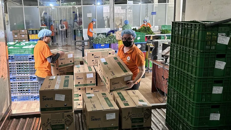 Giá hàng hóa tăng theo giá cước vận chuyển