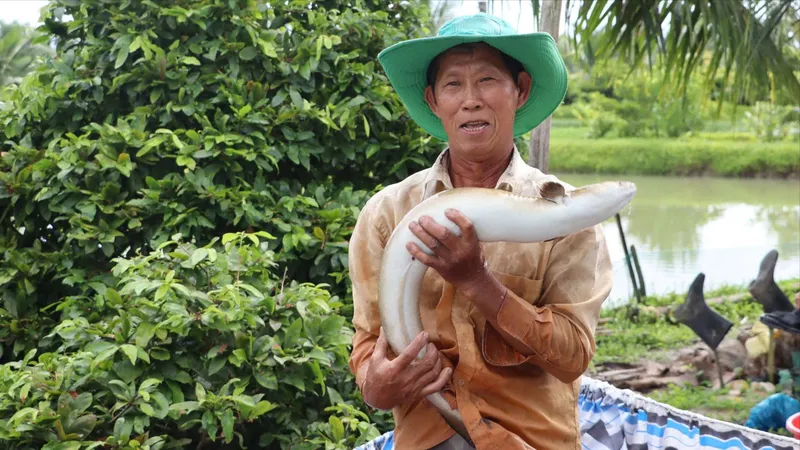 “Vua” cá chình và hành trình mở đường làm giàu