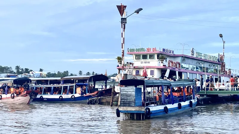 Thức sớm cùng bến Ninh Kiều