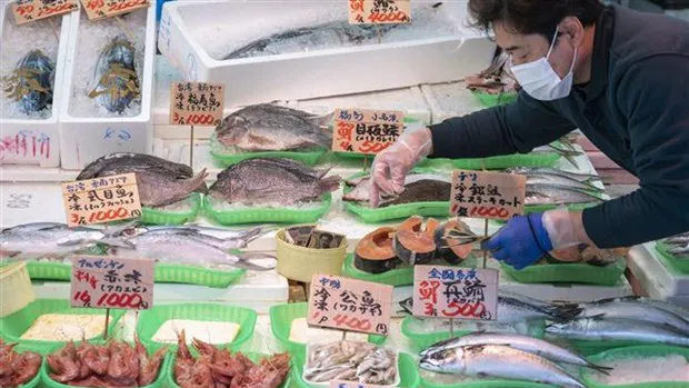Một cửa hàng bán cá ở Tokyo (Nhật Bản). Ảnh: TTXVN