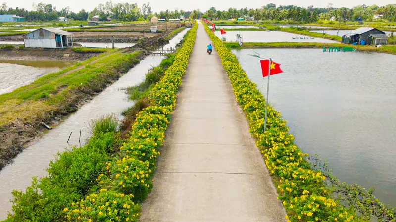 Xây dựng nông thôn mới đi vào thực chất
