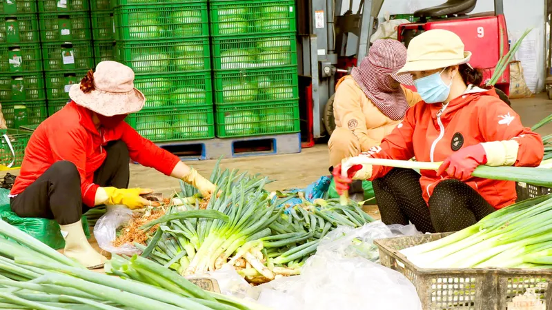 Mở rộng chuỗi thực phẩm an toàn