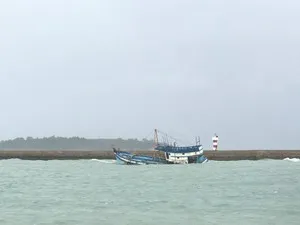 Tàu chở hơn 3.000 tấn hàng gặp nạn, nguy cơ tràn dầu ra biển