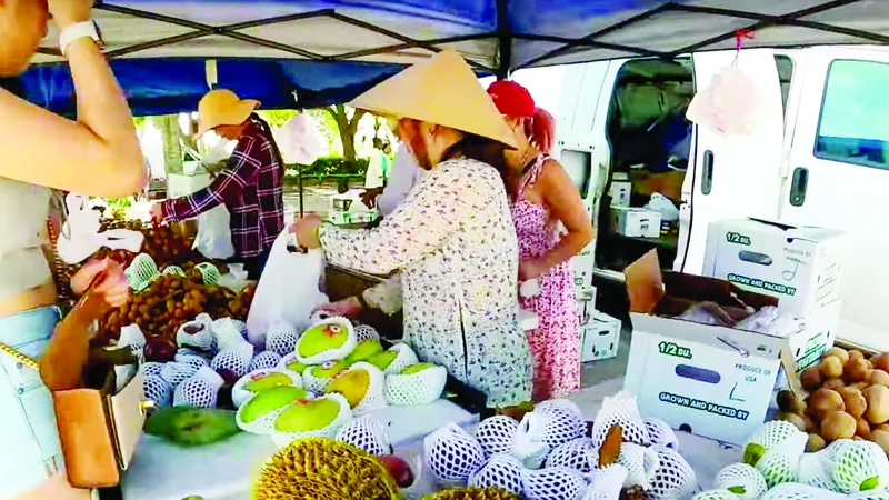 Dạo chợ đỡ nhớ quê hương