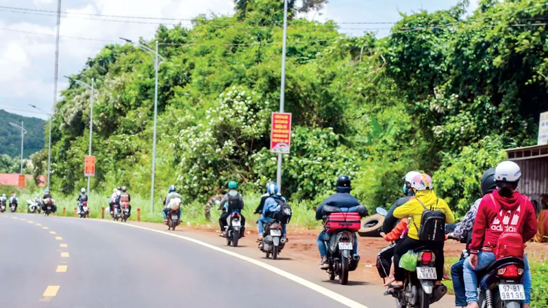 Tết về nhà