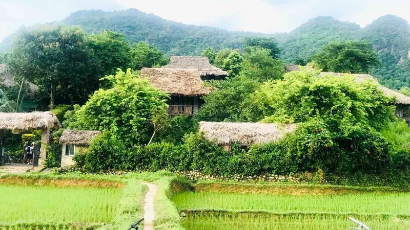 Podcast: Trong veo mùa xuân quê nhà
