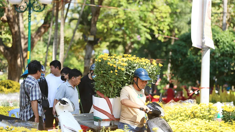 Ừ, tết về!