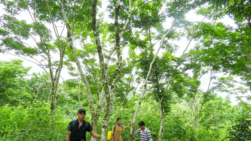Podcast: Tộc người sống xanh