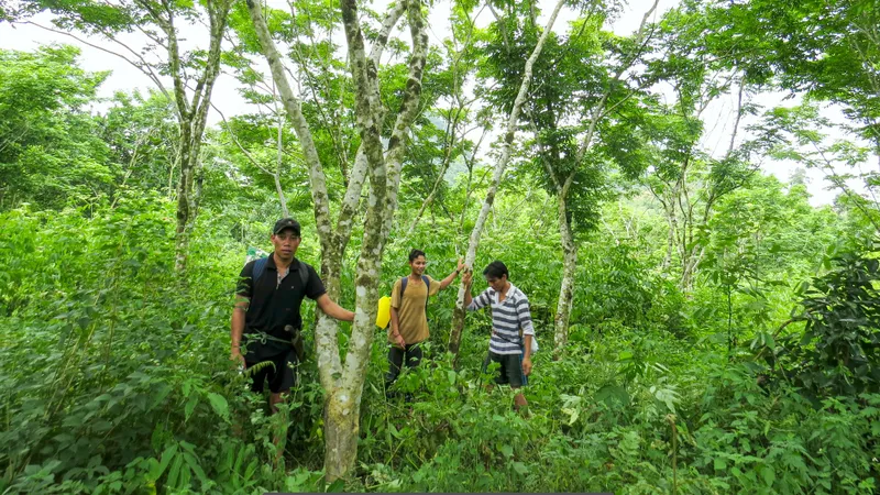Tộc người sống xanh