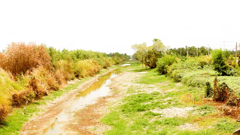 Chậm thích ứng biến đổi khí hậu: Hậu quả nặng nề - Bài 1: Chưa thuận thiên, thiếu chủ động